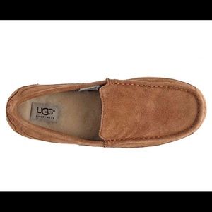 Men’s Ugg Alder